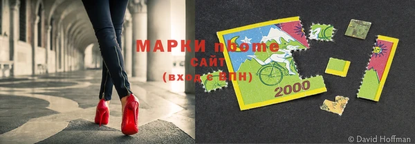 стаф Аркадак